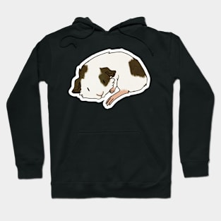 Guinea Pig in Elbow Pose Hoodie